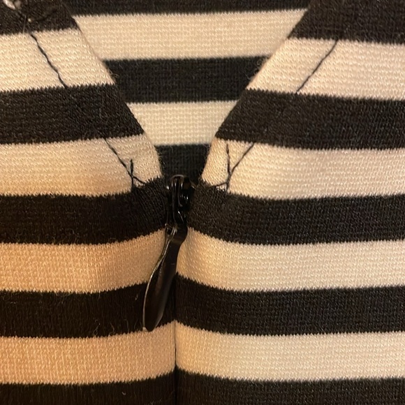 Kathy Fit & Flare Striped Dress Black/White - Picture 5 of 5
